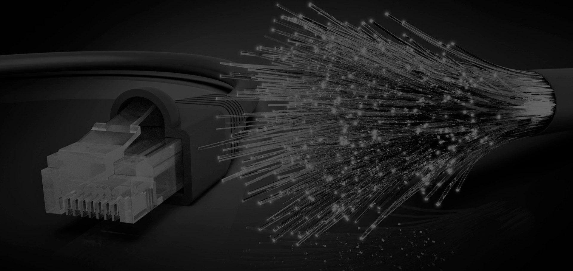 Cabeamento de fibra óptica e conector de rede
